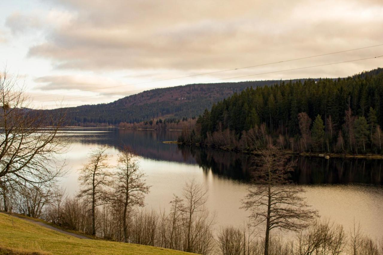 Gemuetliche Ferienwohnung - Mitten Im Schwarzwald Bernau im Schwarzwald Extérieur photo
